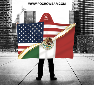 mexican american flag, mexico usa flag, chicano flag, pocho flag, usa mexico flag, dual flag, dos banderas, pocho, chicano